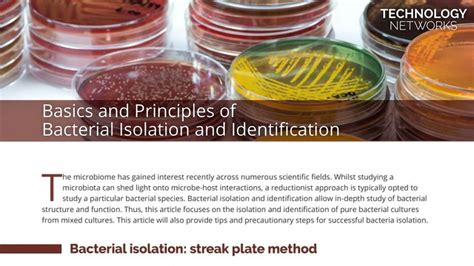 Isolation, identification and characterization of novel Bacillus.